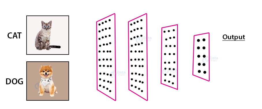 A Hands-on Guide to Build Your First Convolutional Neural Network Model